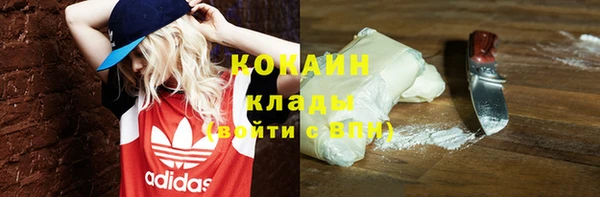 дмт Инсар