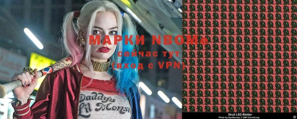дмт Инсар
