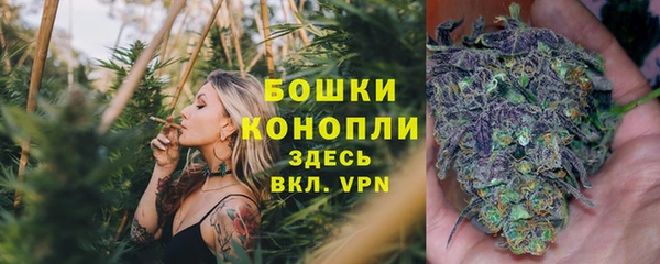 соль ск Иннополис