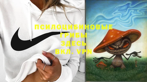 дмт Инсар