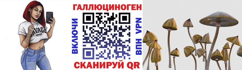 Галлюциногенные грибы прущие грибы  Купить где  Верхняя Тура 